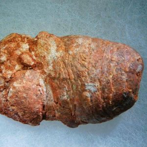 Genuine Cretaceous Age Fish or Shark Coprolite Fossil for Sale from Morocco #30