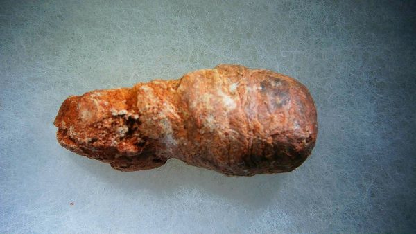 Genuine Cretaceous Age Fish or Shark Coprolite Fossil for Sale from Morocco #30a