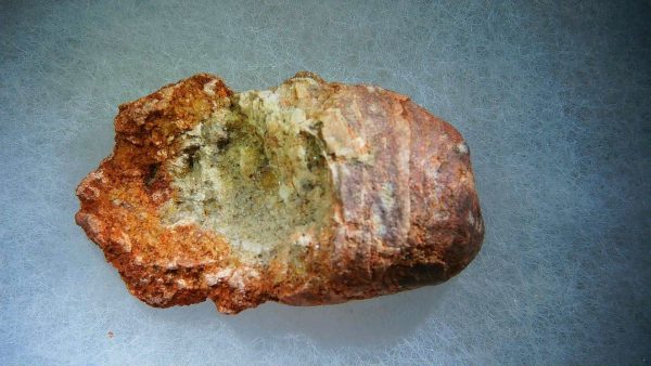 Genuine Cretaceous Age Fish or Shark Coprolite Fossil for Sale from Morocco #30b