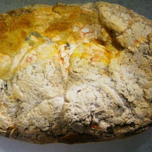 Genuine Cretaceous Age Fish or Shark Coprolite Fossil for Sale from Morocco #31