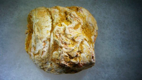 Genuine Cretaceous Age Fish or Shark Coprolite Fossil for Sale from Morocco #32