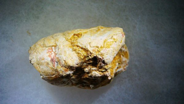 Genuine Cretaceous Age Fish or Shark Coprolite Fossil for Sale from Morocco #32a