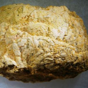 Genuine Cretaceous Age Fish or Shark Coprolite Fossil for Sale from Morocco #33