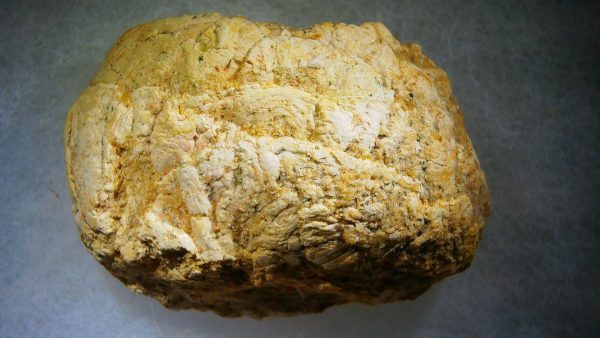 Genuine Cretaceous Age Fish or Shark Coprolite Fossil for Sale from Morocco #33