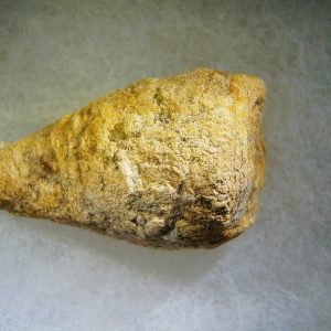 Genuine Cretaceous Age Fish or Shark Coprolite Fossil for Sale from Morocco #35