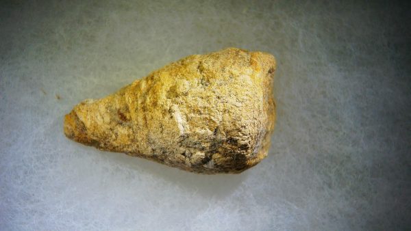 Genuine Cretaceous Age Fish or Shark Coprolite Fossil for Sale from Morocco #35