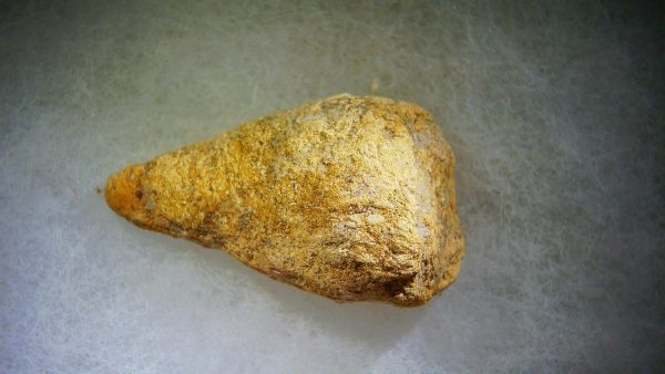 Genuine Cretaceous Age Fish or Shark Coprolite Fossil for Sale from Morocco #35b