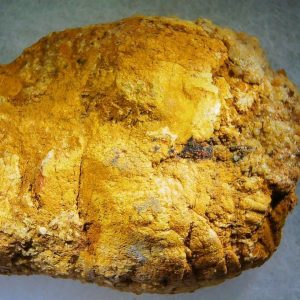 Genuine Cretaceous Age Fish or Shark Coprolite Fossil for Sale from Morocco #36