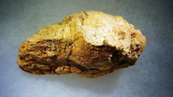 Genuine Cretaceous Age Fish or Shark Coprolite Fossil for Sale from Morocco #36a