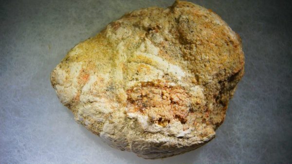 Genuine Cretaceous Age Fish or Shark Coprolite Fossil for Sale from Morocco #37