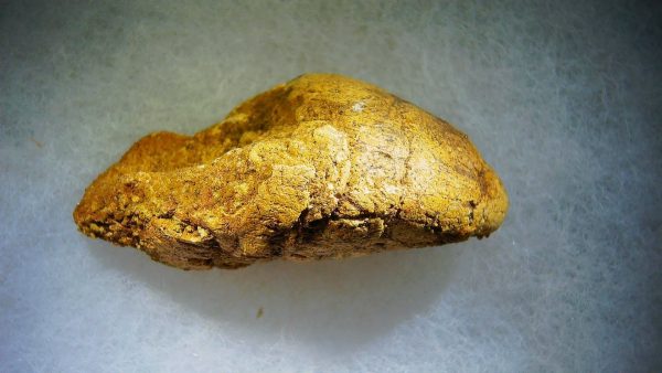 Genuine Cretaceous Age Fish or Shark Coprolite Fossil for Sale from Morocco #40a