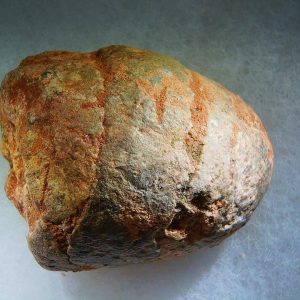 Genuine Cretaceous Age Fish or Shark Coprolite Fossil for Sale from Morocco #43