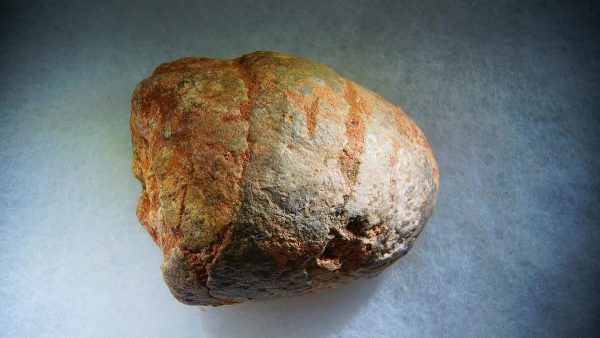 Genuine Cretaceous Age Fish or Shark Coprolite Fossil for Sale from Morocco #43