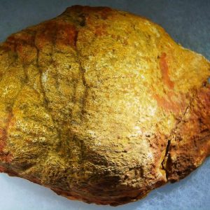 Genuine Cretaceous Age Fish or Shark Coprolite Fossil for Sale from Morocco #44