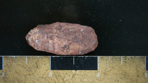 Genuine Triassic Age Dinosaur Coprolite Fossil for Sale from New Mexico #12a