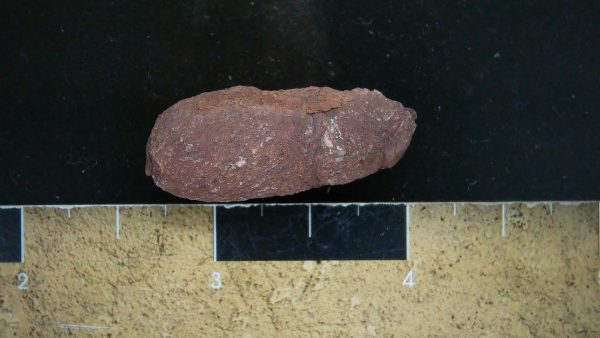 Genuine Triassic Age Dinosaur Coprolite Fossil for Sale from New Mexico #13