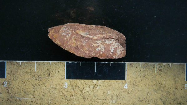 Genuine Triassic Age Dinosaur Coprolite Fossil for Sale from New Mexico #14