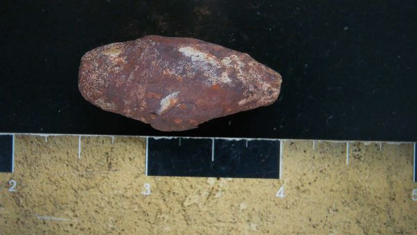 Genuine Triassic Age Dinosaur Coprolite Fossil for Sale from New Mexico #15