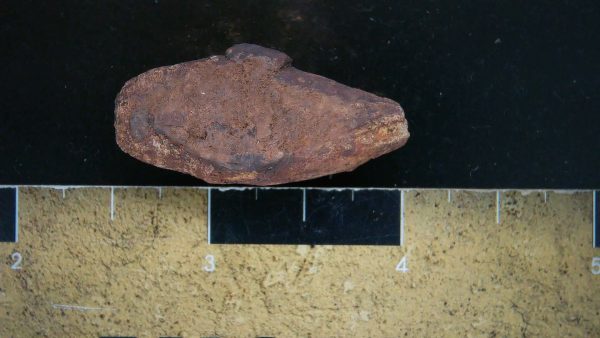 Genuine Triassic Age Dinosaur Coprolite Fossil for Sale from New Mexico #15a