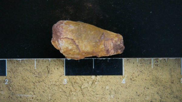 Genuine Triassic Age Dinosaur Coprolite Fossil for Sale from New Mexico #16