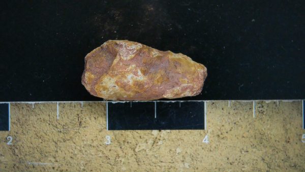 Genuine Triassic Age Dinosaur Coprolite Fossil for Sale from New Mexico #16a