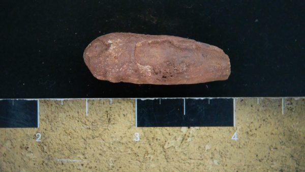 Genuine Triassic Age Dinosaur Coprolite Fossil for Sale from New Mexico #17a