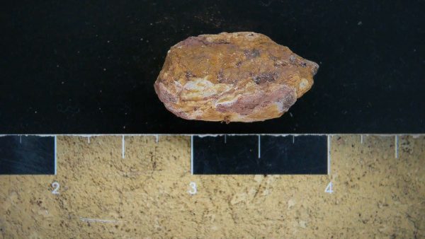 Genuine Triassic Age Dinosaur Coprolite Fossil for Sale from New Mexico #18