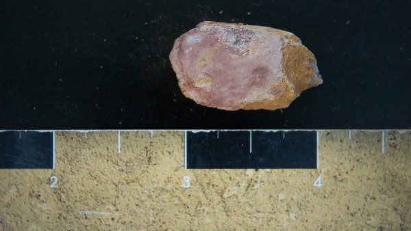 Genuine Triassic Age Dinosaur Coprolite Fossil for Sale from New Mexico #18a