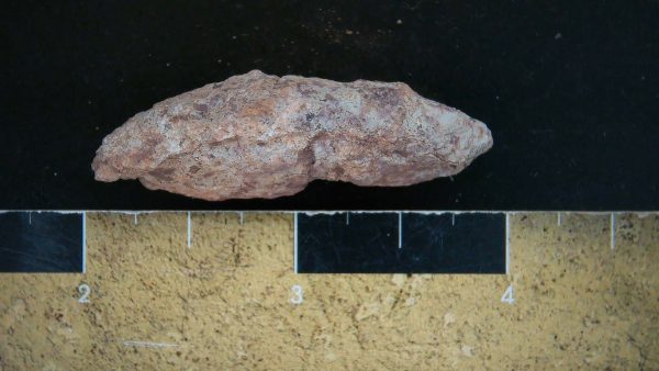 Genuine Triassic Age Dinosaur Coprolite Fossil for Sale from New Mexico #19