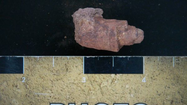 Genuine Triassic Age Dinosaur Coprolite Fossil for Sale from New Mexico #20