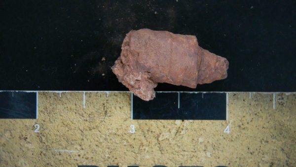 Genuine Triassic Age Dinosaur Coprolite Fossil for Sale from New Mexico #20a