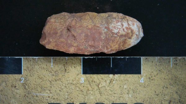 Genuine Triassic Age Dinosaur Coprolite Fossil for Sale from New Mexico #21