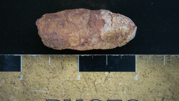 Genuine Triassic Age Dinosaur Coprolite Fossil for Sale from New Mexico #21a