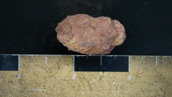 Genuine Triassic Age Dinosaur Coprolite Fossil for Sale from New Mexico #22