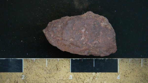 Genuine Triassic Age Dinosaur Coprolite Fossil for Sale from New Mexico #23a