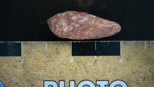 Genuine Triassic Age Dinosaur Coprolite Fossil for Sale from New Mexico #24