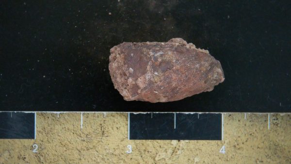 Genuine Triassic Age Dinosaur Coprolite Fossil for Sale from New Mexico #28