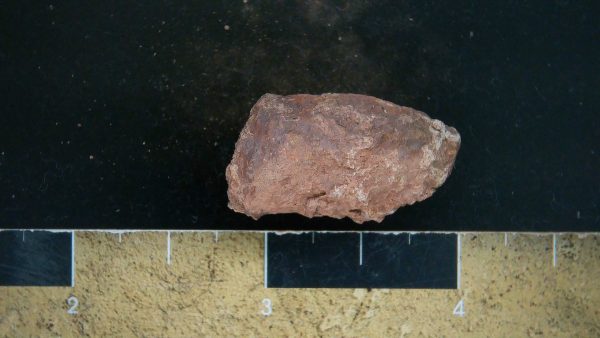 Genuine Triassic Age Dinosaur Coprolite Fossil for Sale from New Mexico #28a