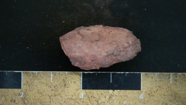 Genuine Triassic Age Dinosaur Coprolite Fossil for Sale from New Mexico #29a