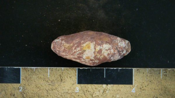 Genuine Triassic Age Dinosaur Coprolite Fossil for Sale from New Mexico #30a