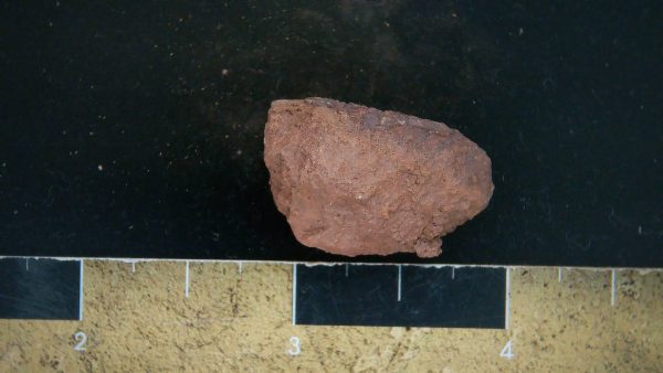 Genuine Triassic Age Dinosaur Coprolite Fossil for Sale from New Mexico #32