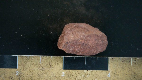 Genuine Triassic Age Dinosaur Coprolite Fossil for Sale from New Mexico #32a