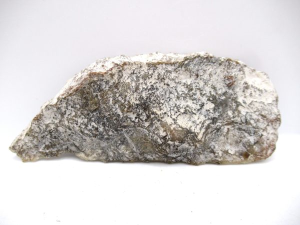 Genuine Jurassic Age Dinosaur Coprolite Fossil for Sale from Utah #64a