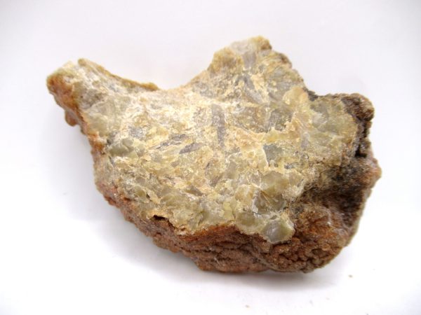 Genuine Jurassic Age Dinosaur Coprolite Fossil for Sale from Utah #66a