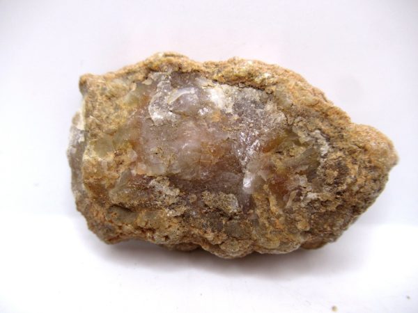 Genuine Jurassic Age Dinosaur Coprolite Fossil for Sale from Utah #67a