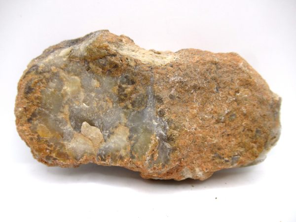 Genuine Jurassic Age Dinosaur Coprolite Fossil for Sale from Utah #73a