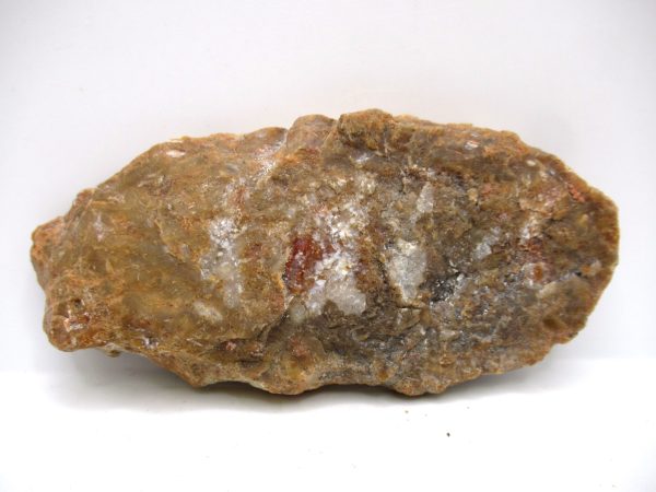 Genuine Jurassic Age Dinosaur Coprolite Fossil for Sale from Utah #76a