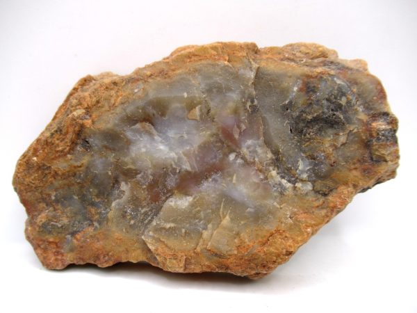 Genuine Jurassic Age Dinosaur Coprolite Fossil for Sale from Utah #78a