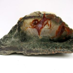 Genuine Jurassic Age Dinosaur Coprolite Fossil for Sale from Utah #81