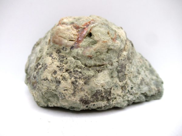 Genuine Jurassic Age Dinosaur Coprolite Fossil for Sale from Utah #81a